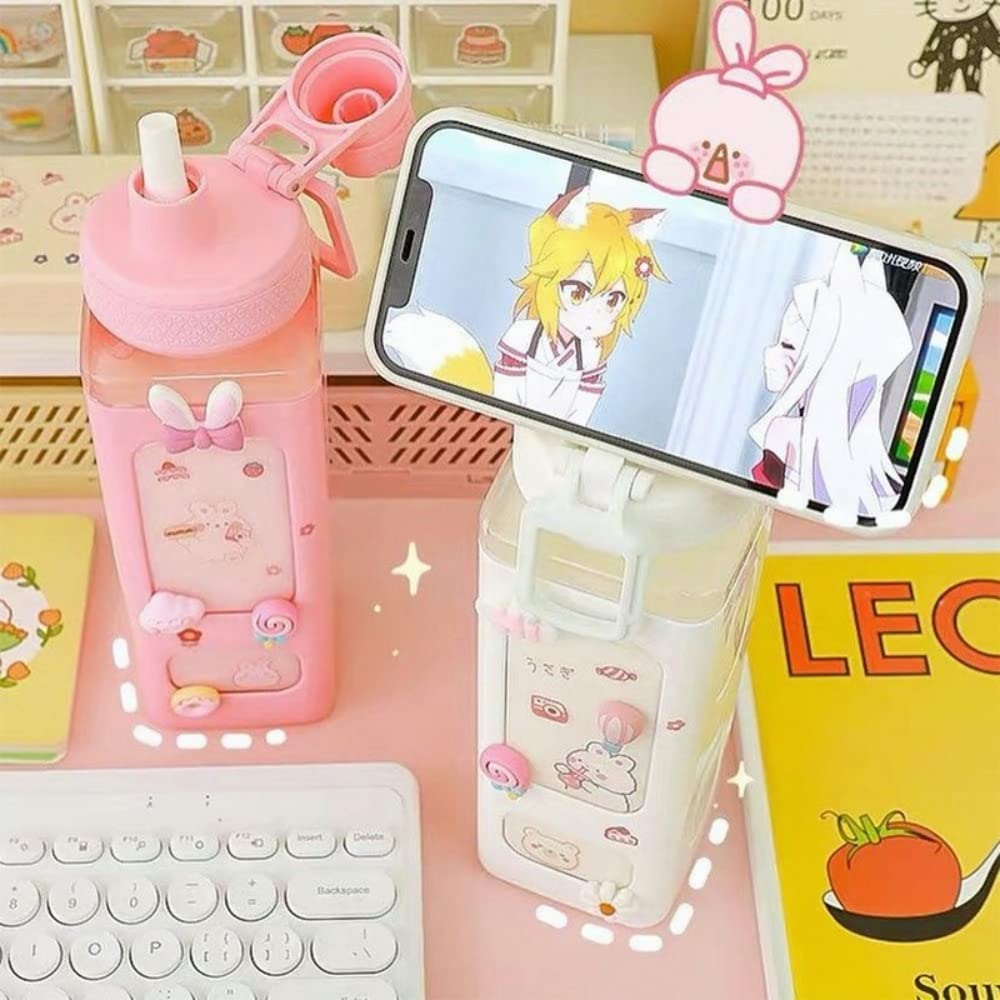 Kawaii Water Bottle With Straw, 3D Stickers Cute Aesthetic Bottle - 700ml